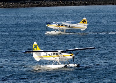 D3S_1016.JPG
