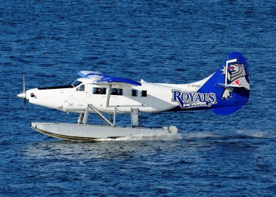 D3S_1098.JPG