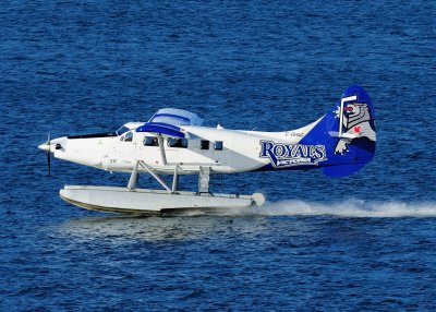 D3S_1111-1.JPG