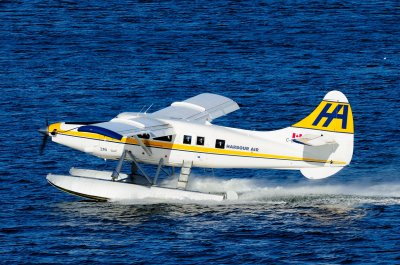 D3S_1126.JPG