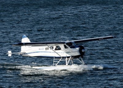 D3S_1163.JPG