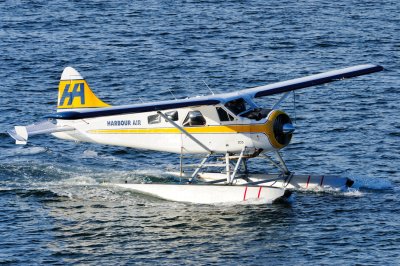 D3S_1436.JPG