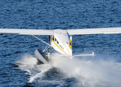 D3S_1441.JPG