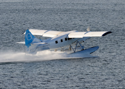 D3S_1475.JPG