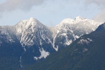300_1294.JPG