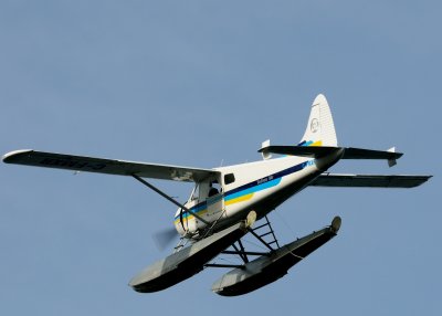 D30_1173.JPG
