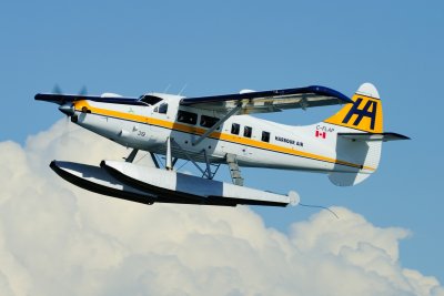 D3S_1788.JPG