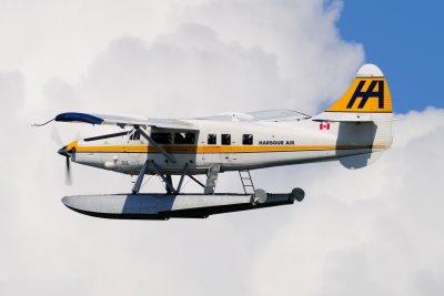 D3S_1863.JPG