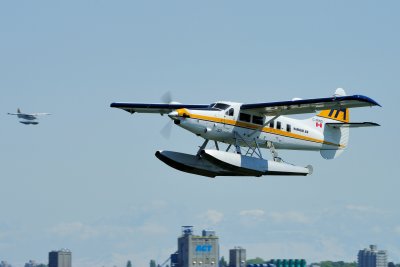 D3S_2284.JPG