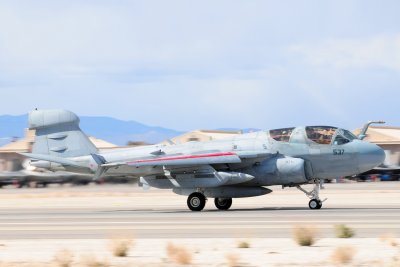 DSC_1767.JPG