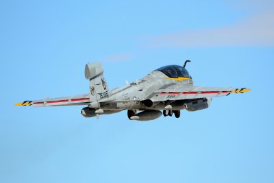 DSC_2399.JPG