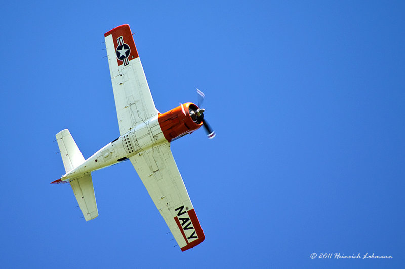 K5D6851.jpg