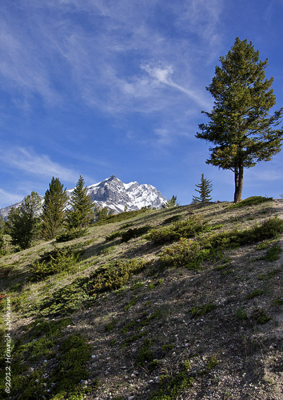K5F1963-Banff National Park.jpg