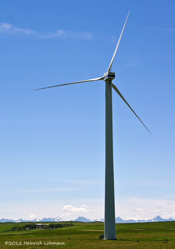 K5F4903.jpg