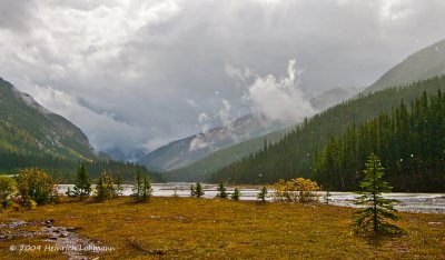 K216644a-Icefields Parkway.jpg