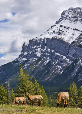 K5D1061-Banff National Park.jpg