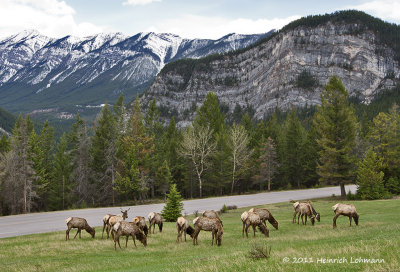 K5D0965-Banff National Park.jpg