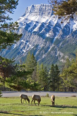 K5D1197-Banff National Park.jpg