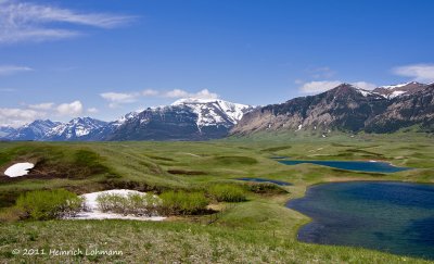 K5D3385-Waterton Lakes National Park.jpg