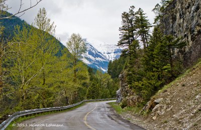 K5D2842-Cameron Lake Road.jpg