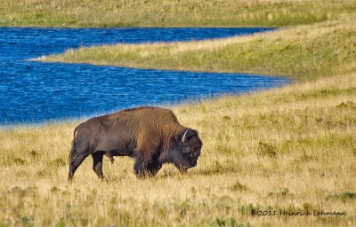 In Alberta 2011