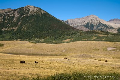 K239142-Waterton Lakes N. P.jpg