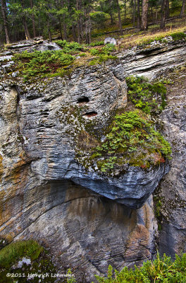 K5E2956-Jasper Ntl.Park-Maligne Canyon.jpg