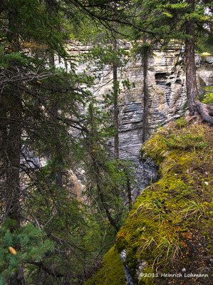 K5E2966-Jasper Ntl.Park-Maligne Canyon.jpg
