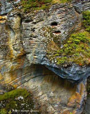 K5E3406-Jasper Natl.Park-Maligne Canyon.jpg
