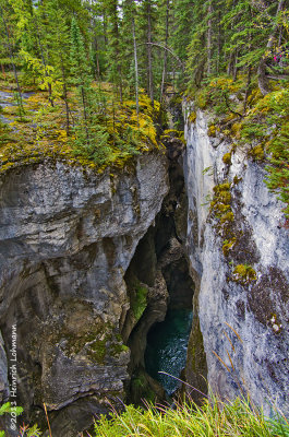 K5E3414-Jasper Ntl.Park-Maligne Canyon.jpg