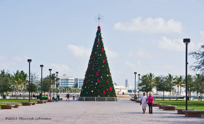 K5E8546-Miami, Florida.jpg