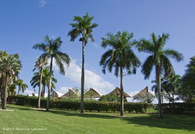 K5E8553-Miami, Florida.jpg