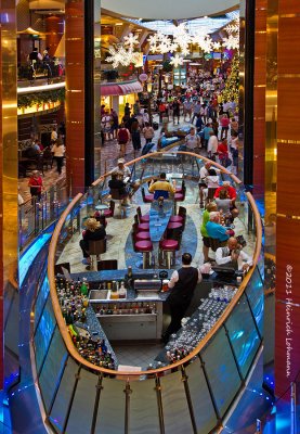 K5E8139-Oasis.jpg