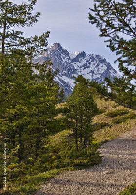 K5F1906-Banff National Park.jpg