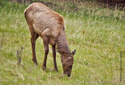 In Alberta 2012