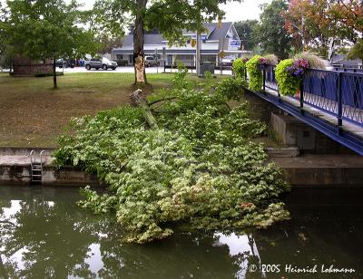 5144Bobcaygeon After the Storm