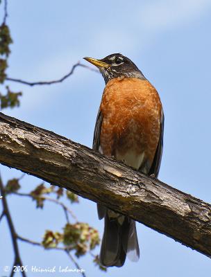 0676-web.jpg