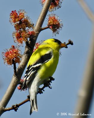 0600-web.jpg