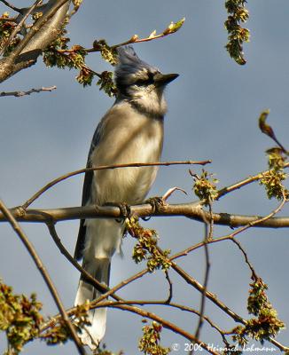 0434-web.jpg