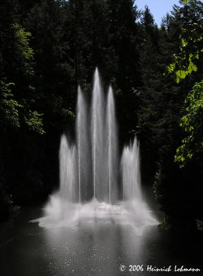 6237-web.jpg