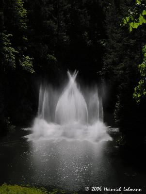 6242-web.jpg