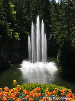 6226-web.jpg