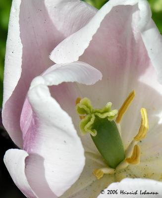 6475-web.jpg