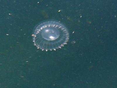 6813-web.jpg