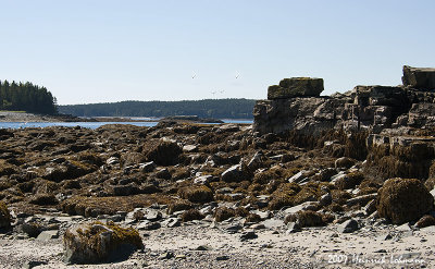 P6514-Maine.jpg