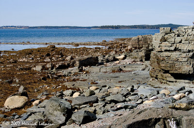 P6563-Maine.jpg