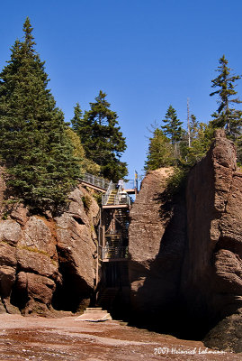 P6737-Hopewell Rocks.jpg