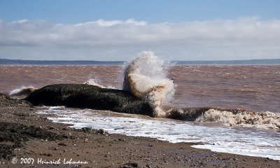 P6789b-Hopewell Rocks.jpg