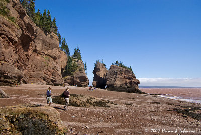 P6857a-Hopewell Rocks.jpg