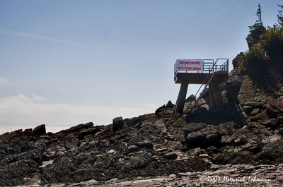 P6912-Hopewell Rocks.jpg